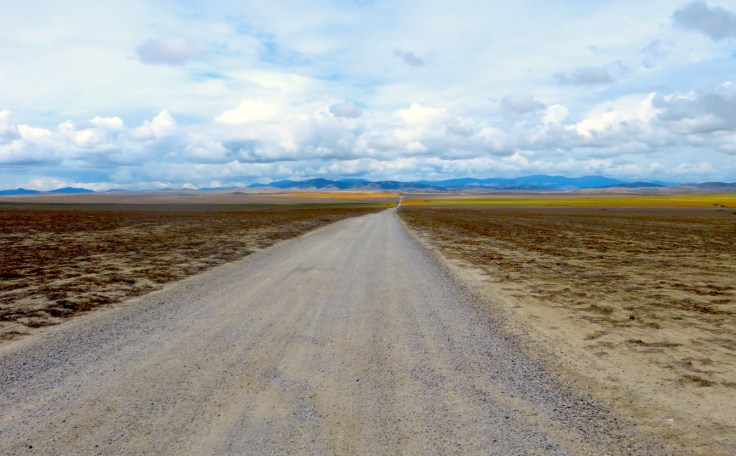 IMG_2536